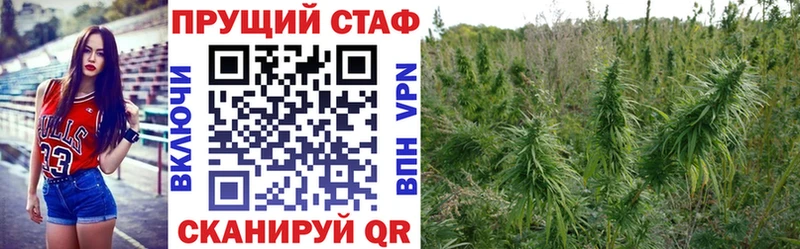 Где продают наркотики Абдулино Героин  АМФЕТАМИН  гидра зеркало  ГАШИШ  Псилоцибиновые грибы  МЕФ  Кокаин  Каннабис  Alpha-PVP 