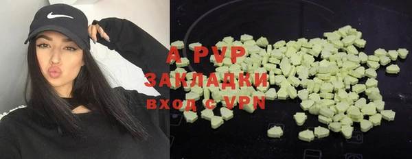a pvp Абаза