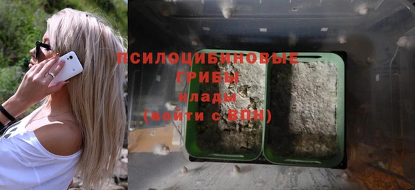 apvp Абинск