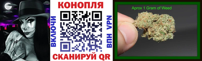 Марихуана сатива  что такое   Абдулино 